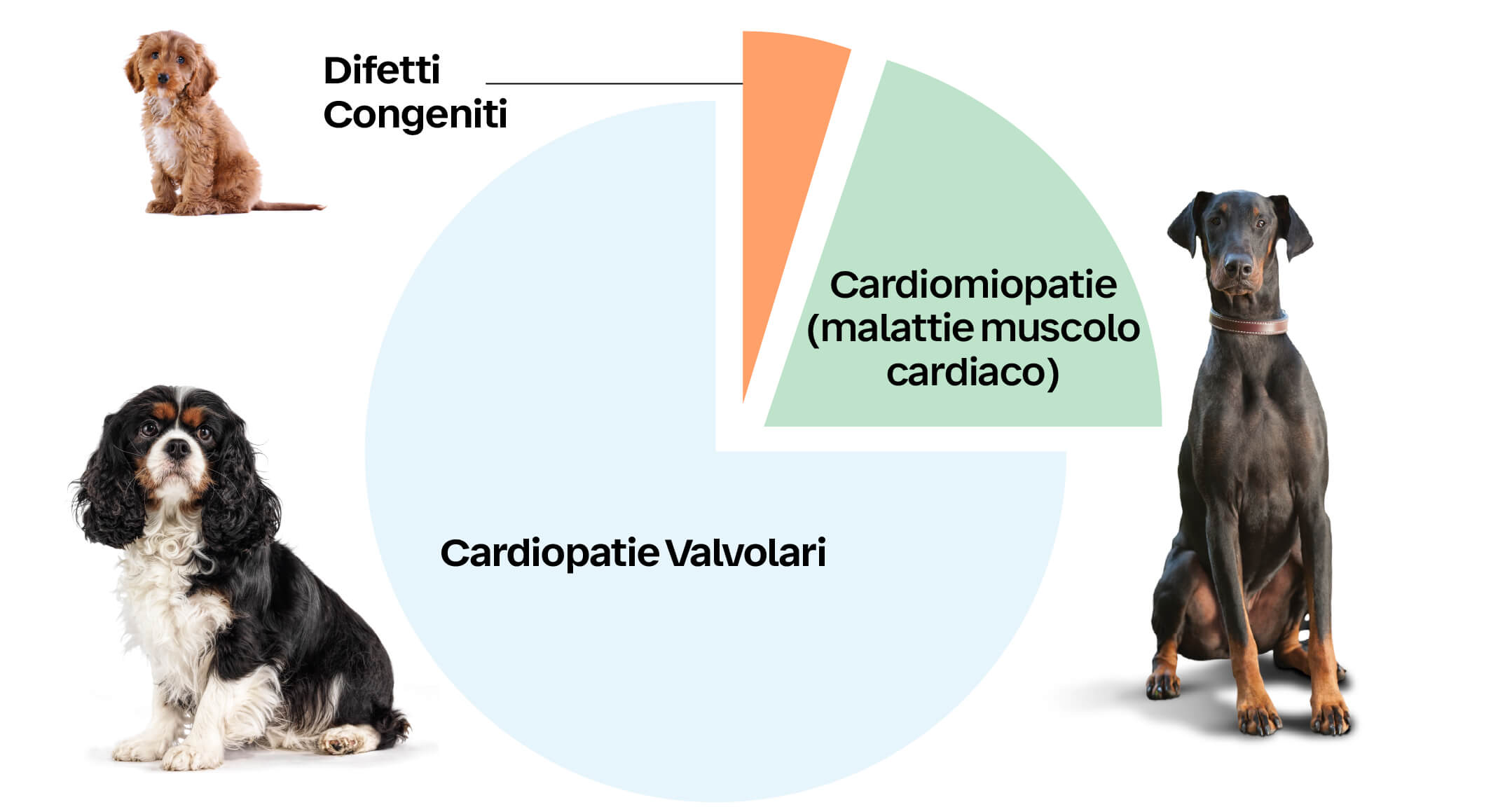 Overview delle Patologie